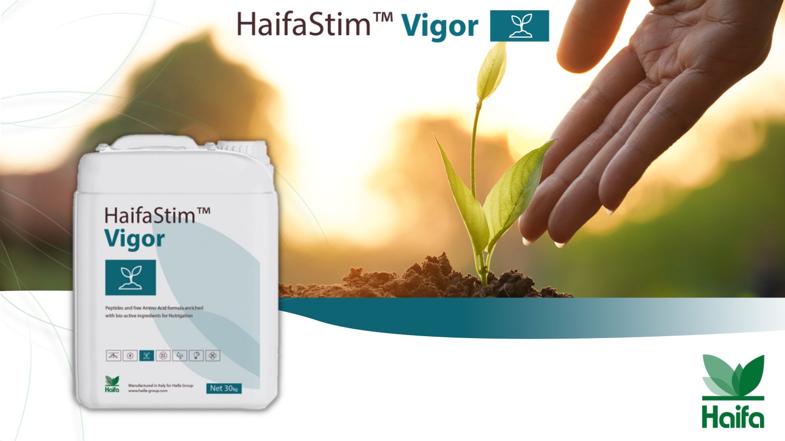 AgroShop Marakis - Αμινοξέα HAIFA STIM Vigor 30kg 3 Αμινοξέα HAIFA STIM Vigor 30kg - Image 3