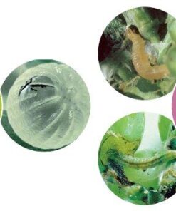 Alternative view of ΕΝΤΟΜΟΚΤΟΝΟ AFFIRM 0,95 SG