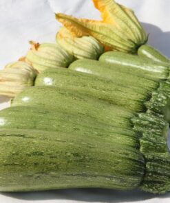 Alternative view of ΚΟΛΟΚΥΘΙ RIGAS F1 1.000 ΣΠΟΡΟΙ